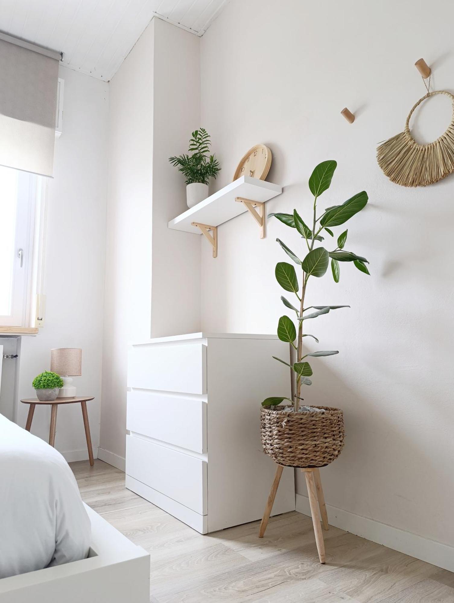 Kasakiwi Apartment Vicenza Dış mekan fotoğraf